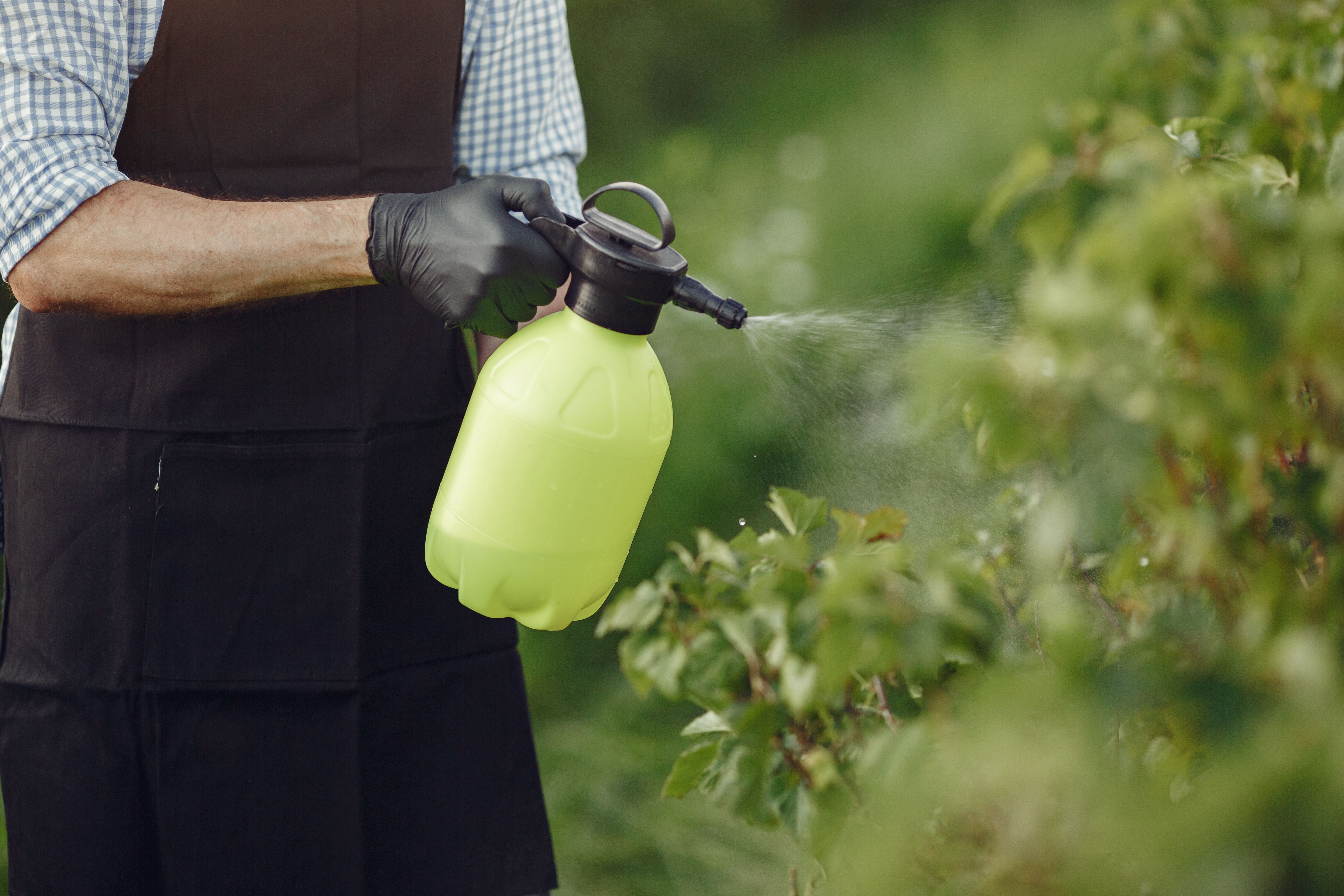 Meeting EU MRL Standards: How To Meet Pesticide Compliance for Agro-Commodities