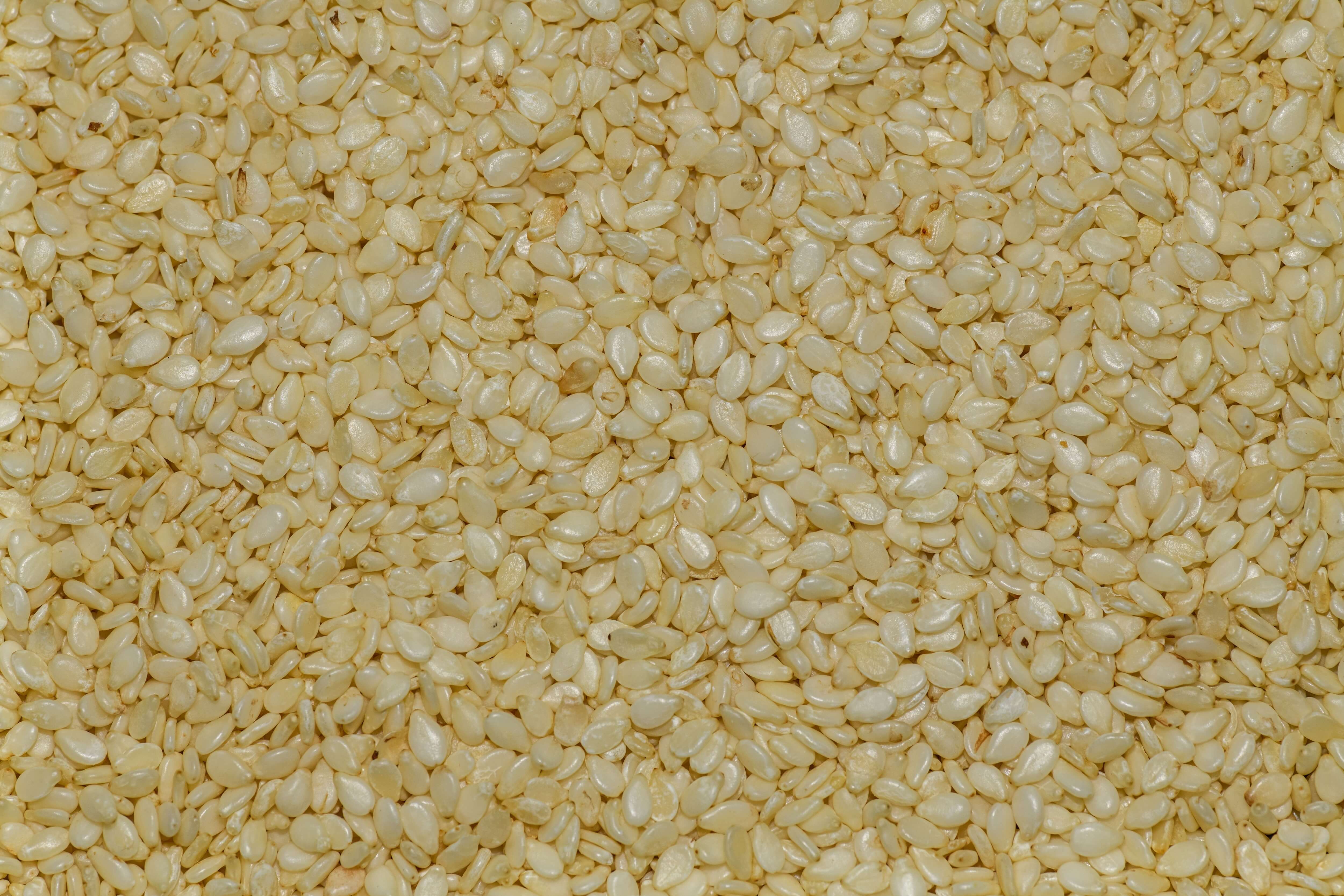 Sesame Seed