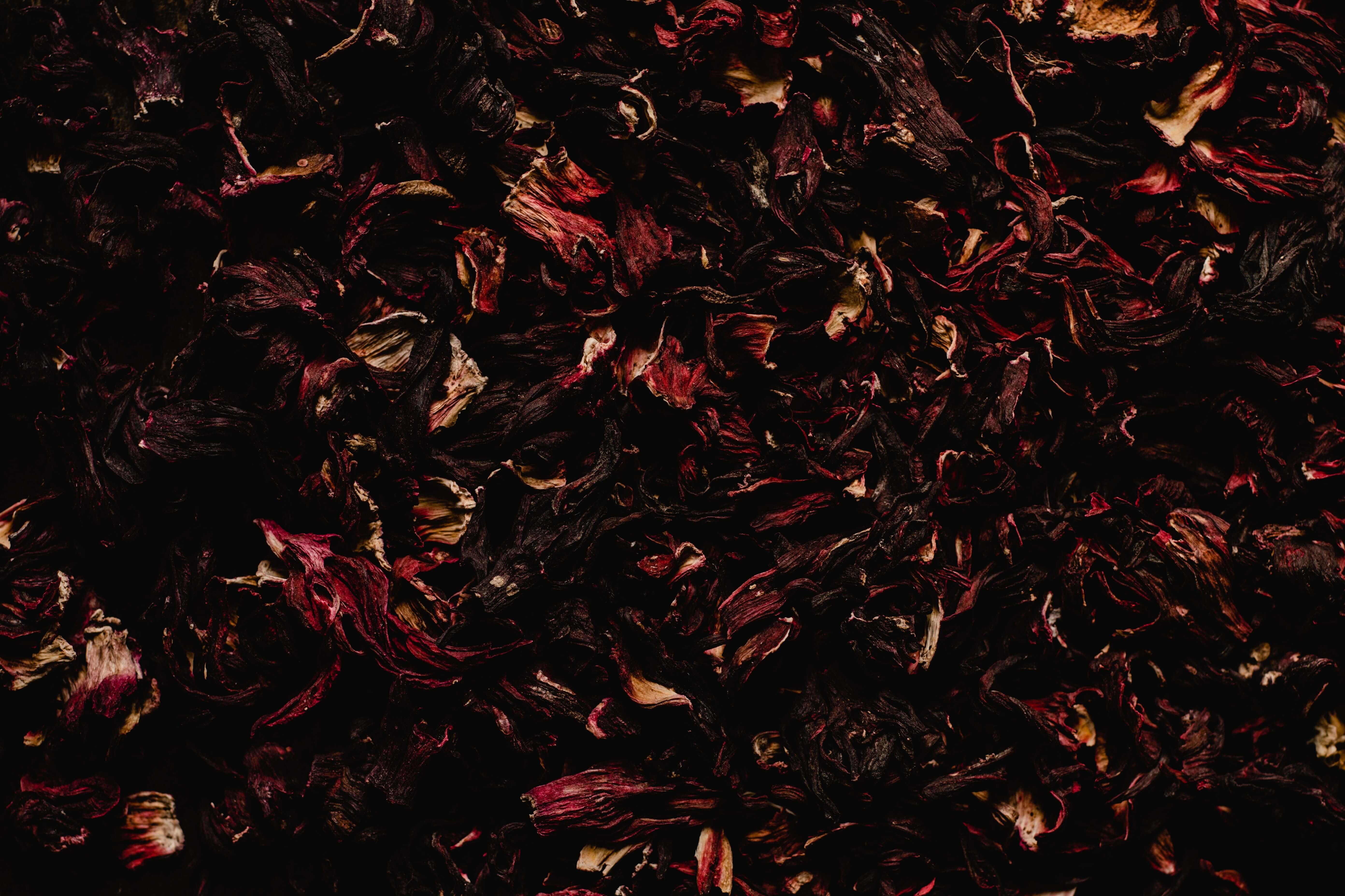 Hibiscus Flower